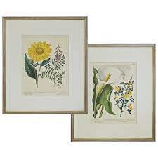 Engravings & Prints Furniture